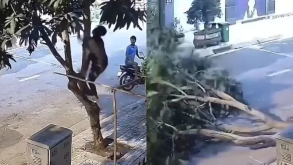 Viral Video