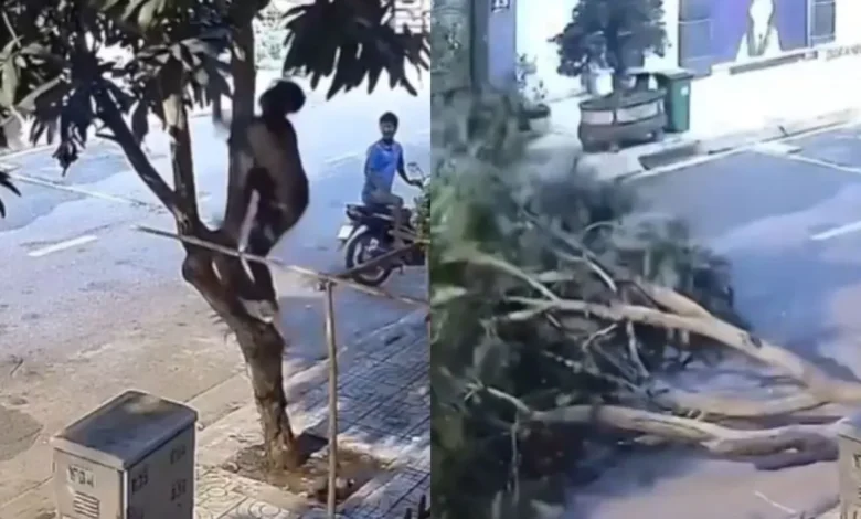 Viral Video