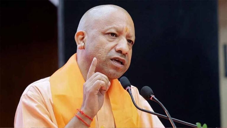 Yogi_04-13.jpg