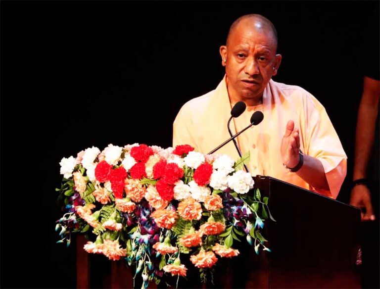 Yogi_11-1.jpg