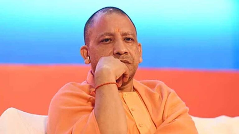 cm_yogi_4.jpg