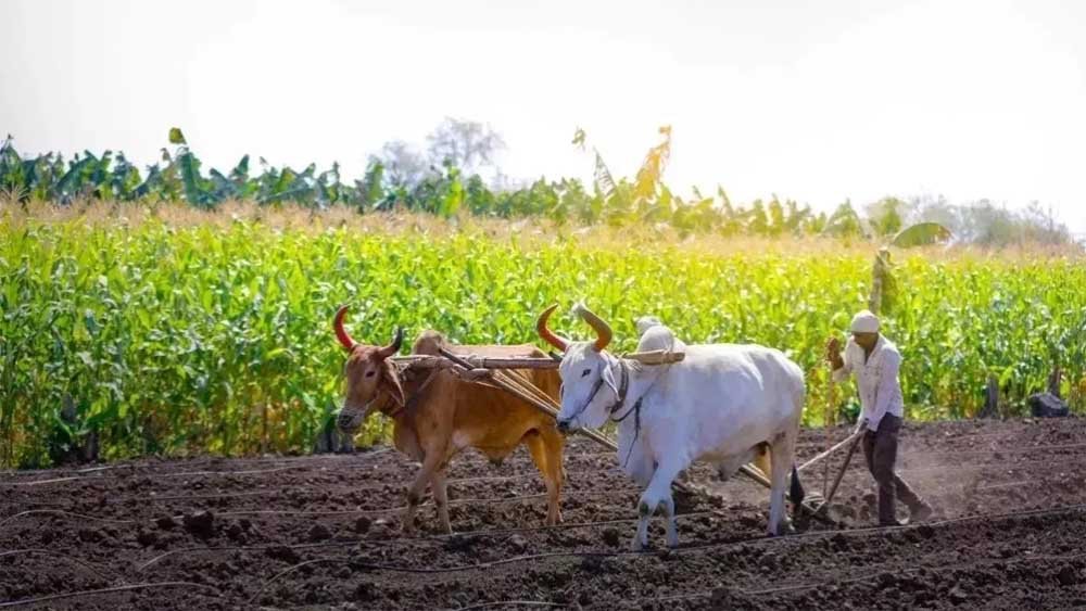 kISAN_01-5.jpg