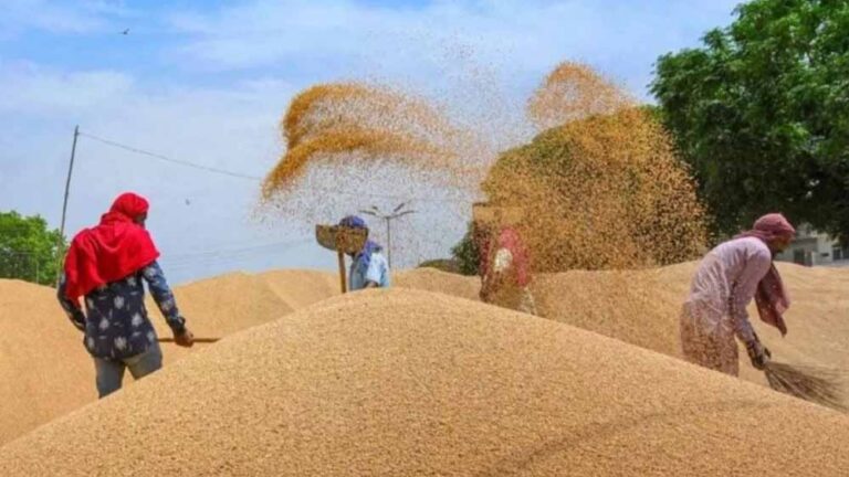 wheat_A_45_3-1.jpg
