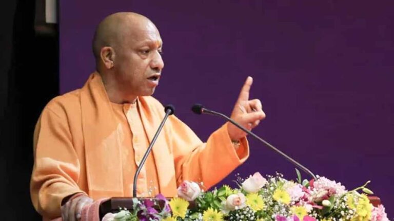 yogi-12.jpg