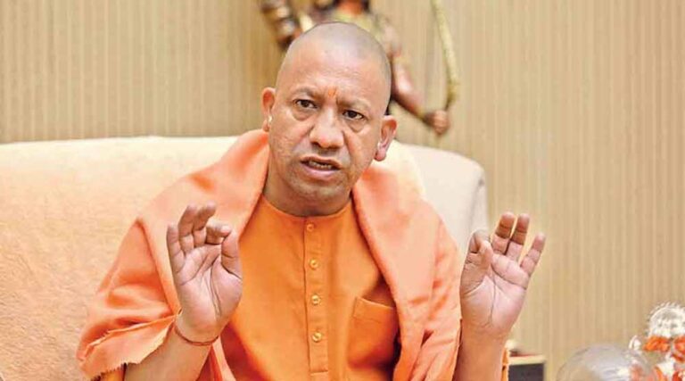 yogi_01-5.jpg