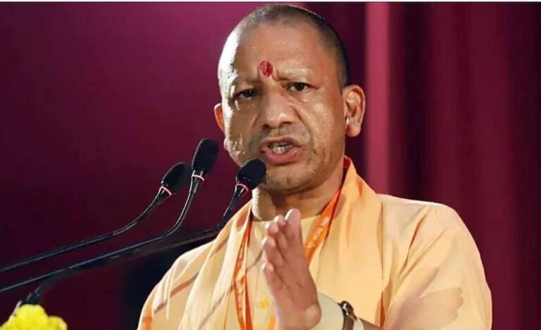 yogi_102_1-1.jpg