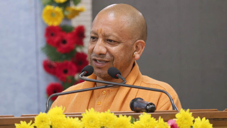 yogi_133_2-2.jpg