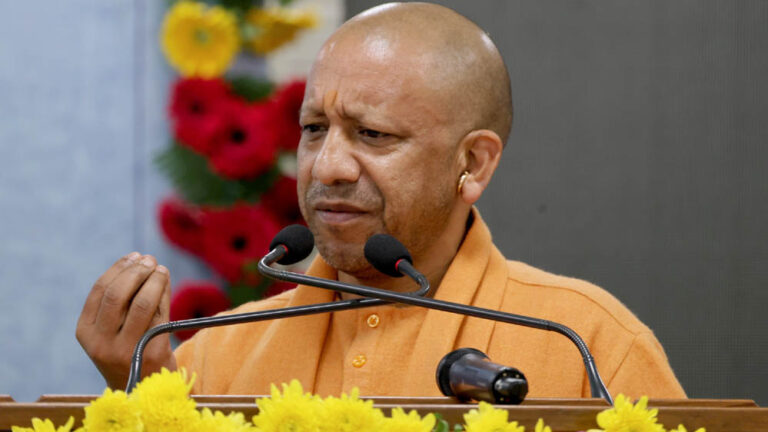 yogi_133_3-7.jpg