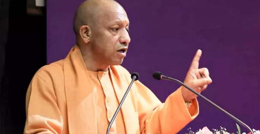 yogi_2_27_1-7.jpg
