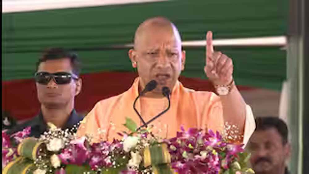 yogi_3-2.jpg