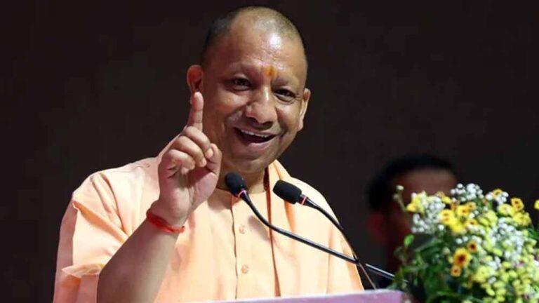 yogi_4-1.jpg
