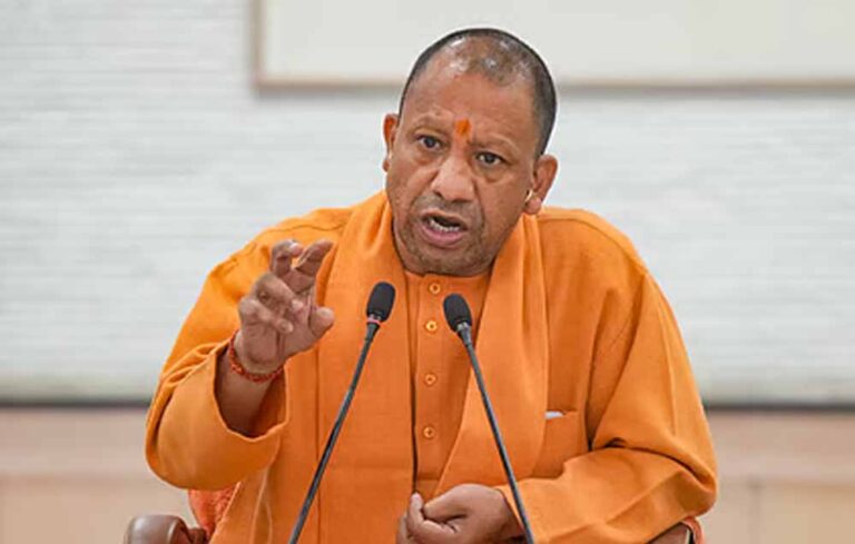 yogi_d_93_2.jpg