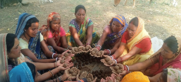 CG : सीड बॉल बनाकर प्रकृति संरक्षण की अनूठी पहल, हरित जशपुर के निर्माण पर जोर