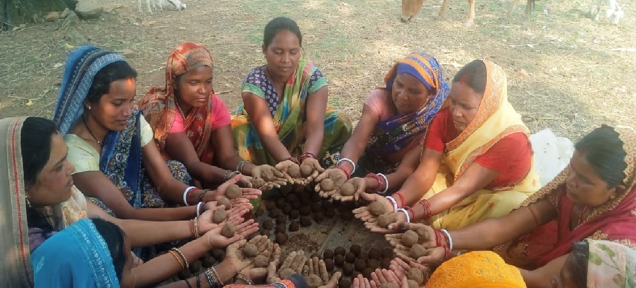CG : सीड बॉल बनाकर प्रकृति संरक्षण की अनूठी पहल, हरित जशपुर के निर्माण पर जोर