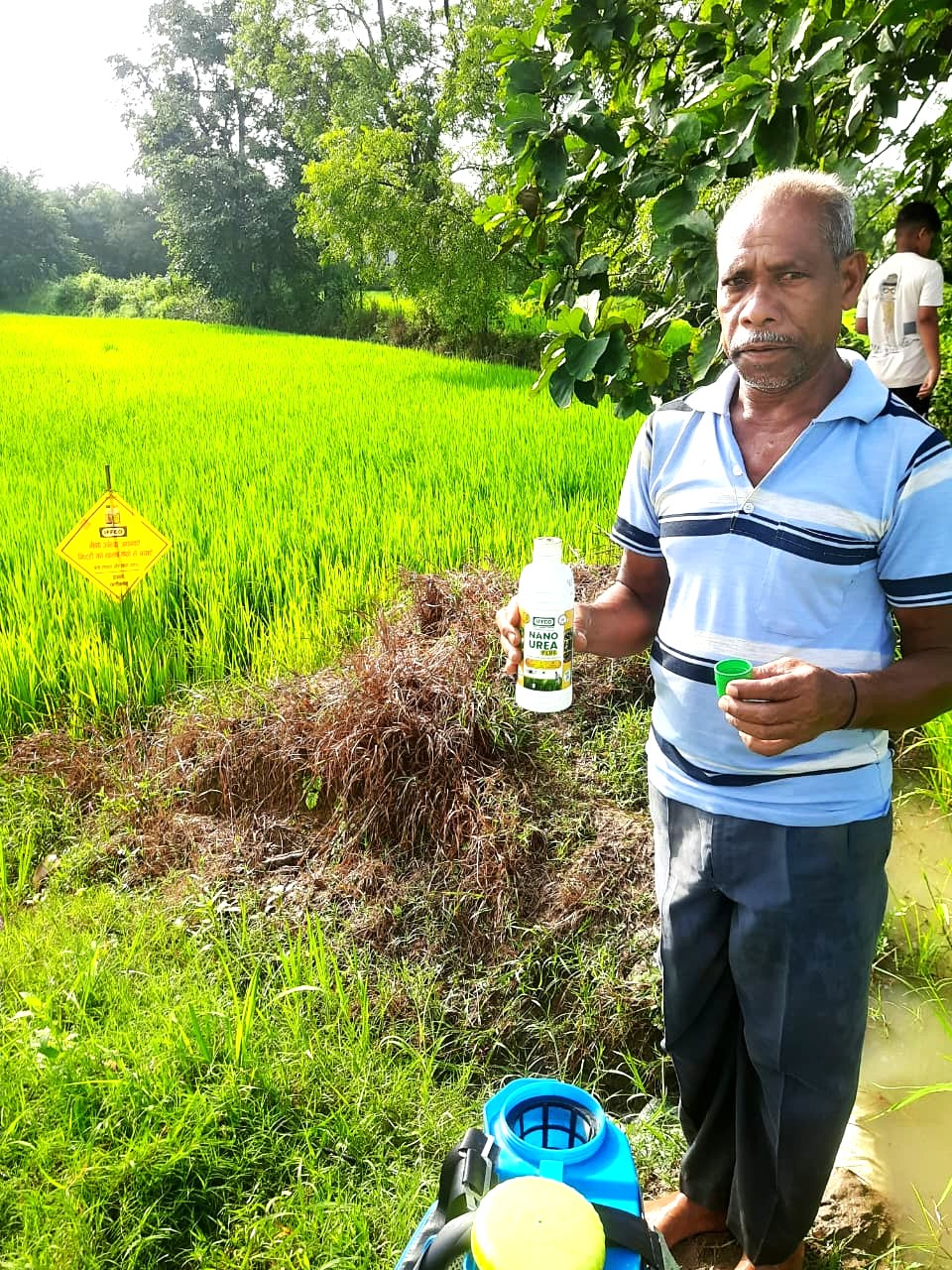 CG : नैनो उर्वरक के उपयोग से धान उत्पादन में हुई वृद्धि, लागत में आई कमी – किसान निरंजन
