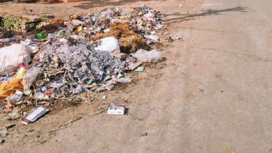 राजनांदगांव : फ्लाईओवर के नीचे सूखे पत्तों और कचरे का ढेर…