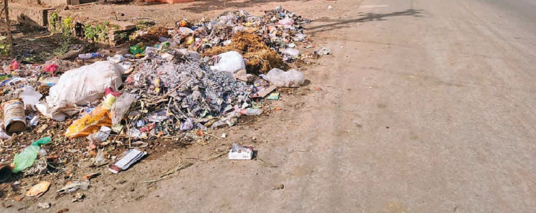 राजनांदगांव : फ्लाईओवर के नीचे सूखे पत्तों और कचरे का ढेर…