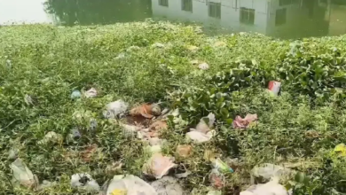 राजनांदगांव : एसटीपी का बेस ही बना, बूढ़ासागर में आ रहा नालियों का गंदा पानी…