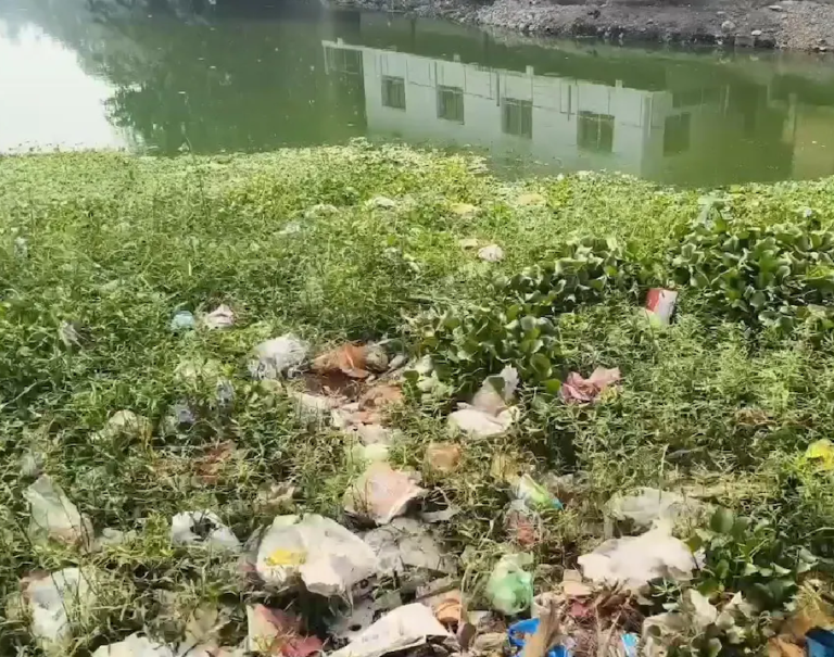 राजनांदगांव : एसटीपी का बेस ही बना, बूढ़ासागर में आ रहा नालियों का गंदा पानी…