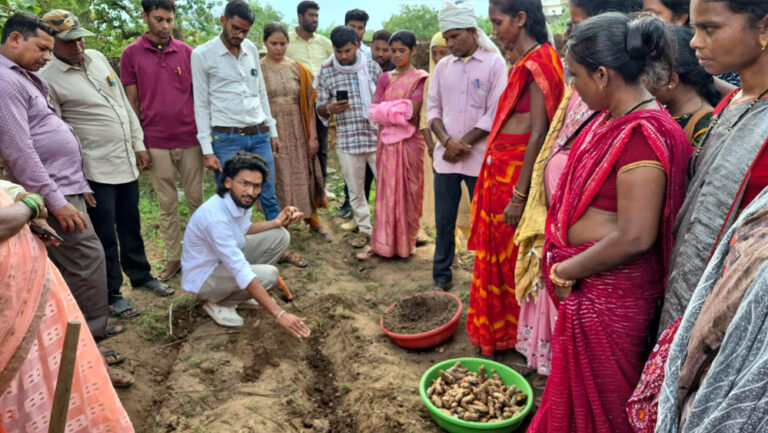 छत्तीसगढ़ में हल्दी क्रांति की शुरुआत, धमतरी के नगरी में 250 टन उत्पादन का लक्ष्य