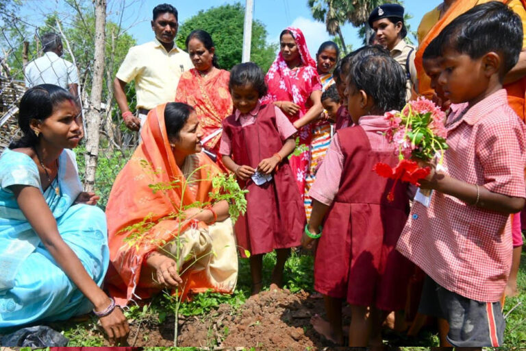 छत्तीसगढ़ में ‘हर-घर मुनगा’ अभियान पर जोर, मंत्री लक्ष्मी राजवाड़े ने सुपोषण और हरित भविष्य का दिया मंत्र