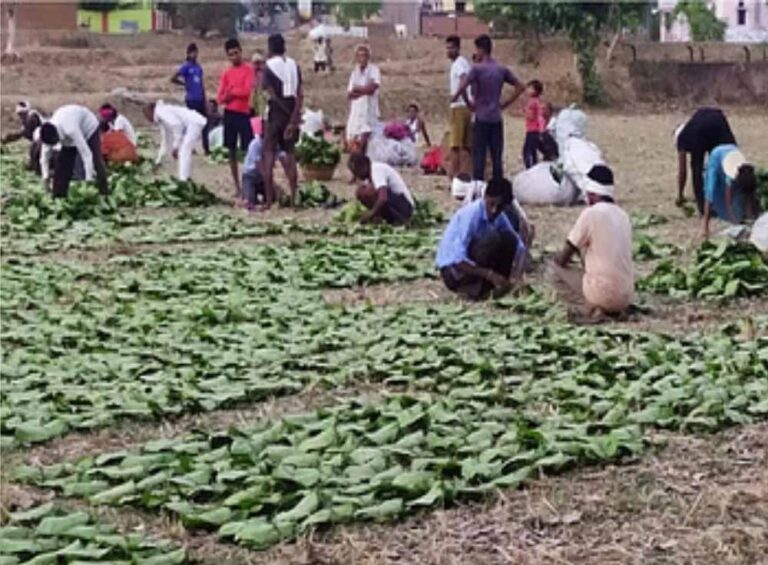 Chhattisgarh_News_02-3-2.jpg
