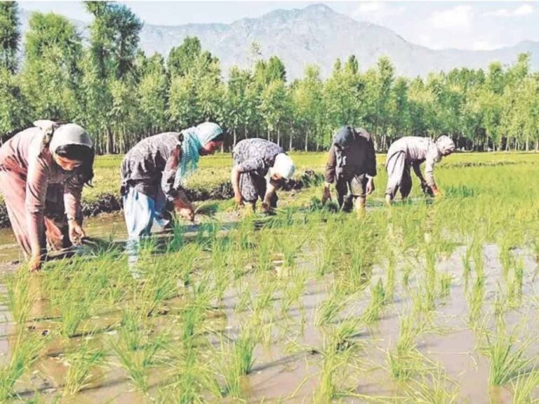 Chhattisgarh_News_04-2-4.jpg