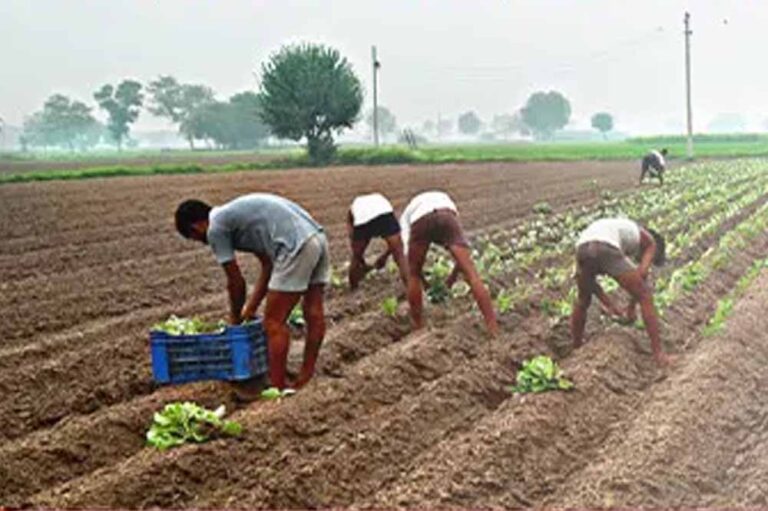 Chhattisgarh_News_05-3-17.jpg