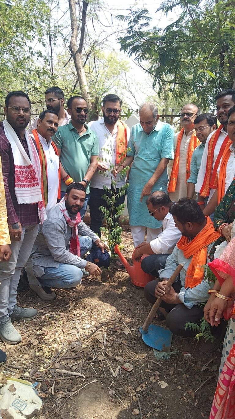 Rajnandgaon: भाजपा दक्षिण मंडल ने “12 साल बेमिसाल” पर किया पौधारोपण, “एक पेड़ मां के नाम” का दिया संदेश