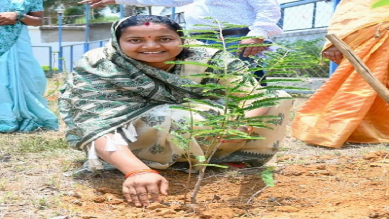 CG : विश्व पर्यावरण दिवस पर मंत्री लक्ष्मी राजवाड़े ने किया पौधरोपण …