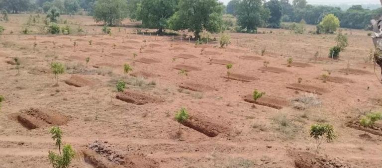 CG : जल संरक्षण का महाअभियान : मनरेगा से गांवों में बढ़ रहा जल भंडार, हरियाली और आजीविका …