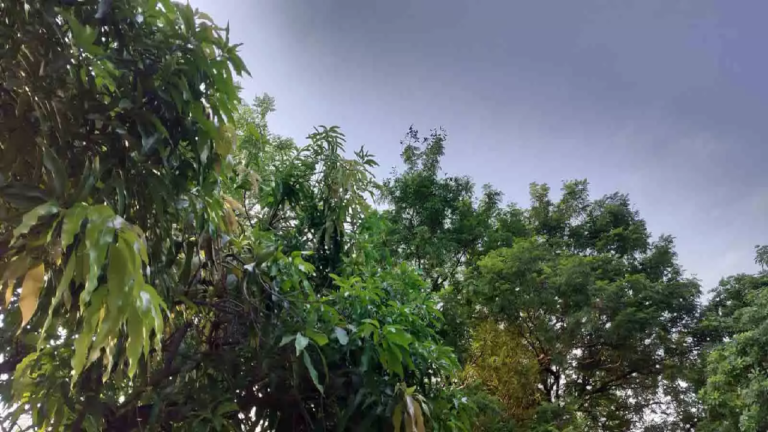 CG :16 राज्यों में आंधी-तूफान और बारिश के असर, गर्मी से मिलेगी राहत …