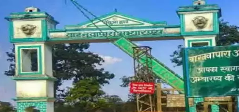 CG : छत्तीसगढ़ के सभी टाइगर रिजर्व, राष्ट्रीय उद्यान और अभ्यारण्य पर्यटकों के लिए बंद …
