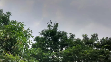 CG : छत्तीसगढ़ सहित 9 राज्यों में धूल भरी आंधी-तूफान और बारिश की चेतावनी …