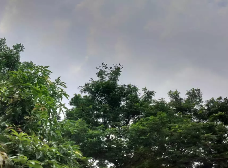 CG : छत्तीसगढ़ सहित 9 राज्यों में धूल भरी आंधी-तूफान और बारिश की चेतावनी …
