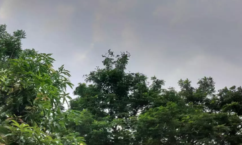 CG : छत्तीसगढ़ सहित 9 राज्यों में धूल भरी आंधी-तूफान और बारिश की चेतावनी …