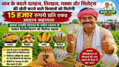 CG : धान के बदले दलहन, तिलहन, मक्का और मिलेट्स की खेती करने वाले किसानों को मिलेगी 15 हजार प्रति एकड़ आदान सहायता …