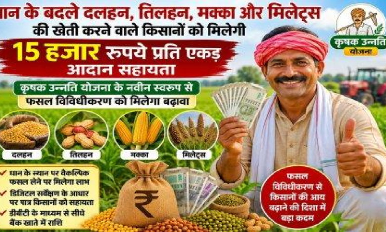 CG : धान के बदले दलहन, तिलहन, मक्का और मिलेट्स की खेती करने वाले किसानों को मिलेगी 15 हजार प्रति एकड़ आदान सहायता …