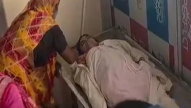 CG : महिला को एंटी-स्नेक वेनम लगाने में देरी, मौत …