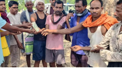CG : बुजुर्ग महिला को हाथी ने कुचला, मौत…
