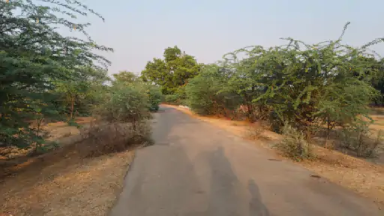 राजनांदगांव : ग्रामीण सड़कों पर झाड़ियां हर मोड़ पर हादसे का खतरा…