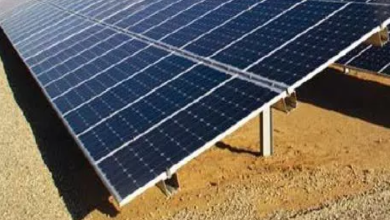 CG : ग्रिड में भेजी गई अतिरिक्त सोलर बिजली निर्धारित दर पर खरीदी जाएगी …