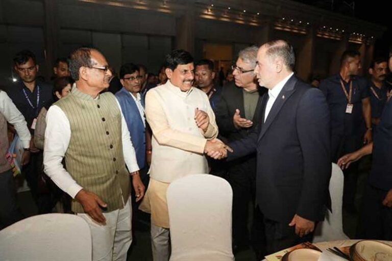 bRICS_01-2.jpg