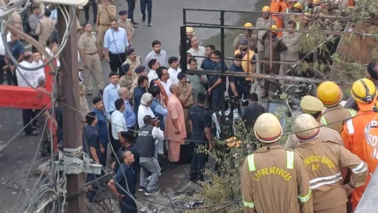cm_yogi_in_d-2.jpg