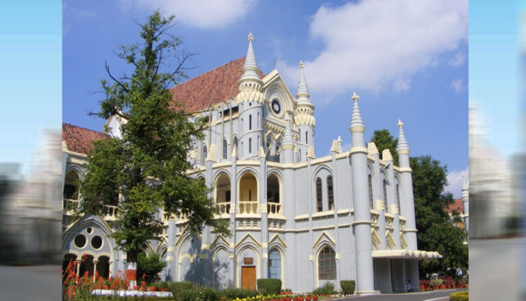बाघों की मौत पर MP High Court सख्त, NTCA ने स्वीकारा- कई मामलों में शिकार का साया