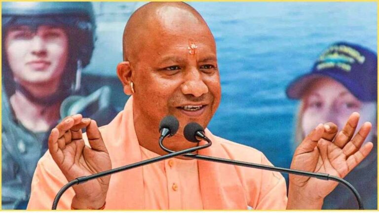 yogi111.jpg