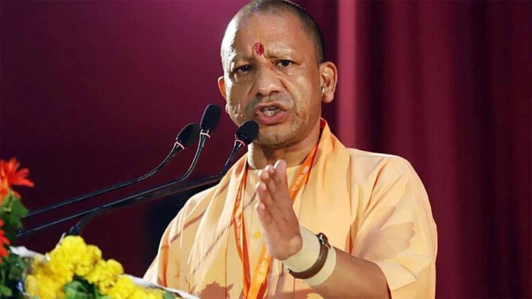 yogi_03-6.jpg