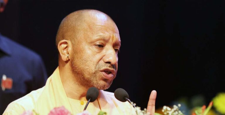 yogi_0_2_1-8.jpg