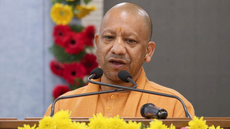 yogi_133_1-1.jpg