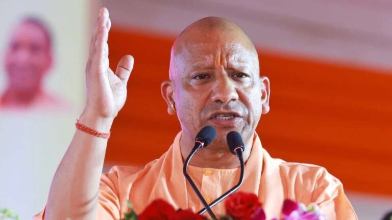 yogi_31_2.jpg